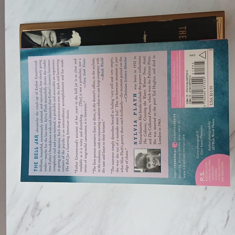 Sylvia Plath Book Collection - Picture 6 of 16